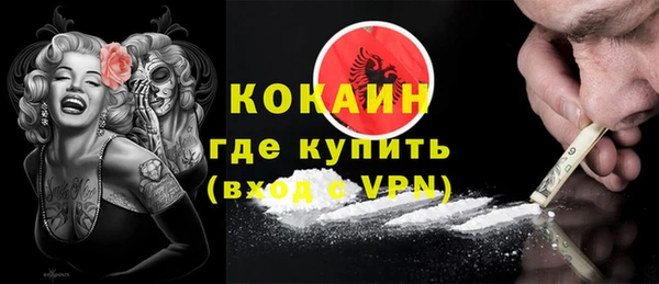 индика Кедровый