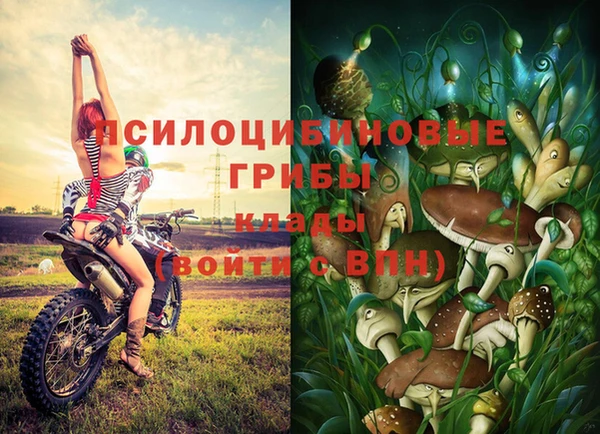 герыч Вяземский
