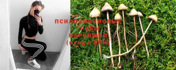 герыч Вяземский