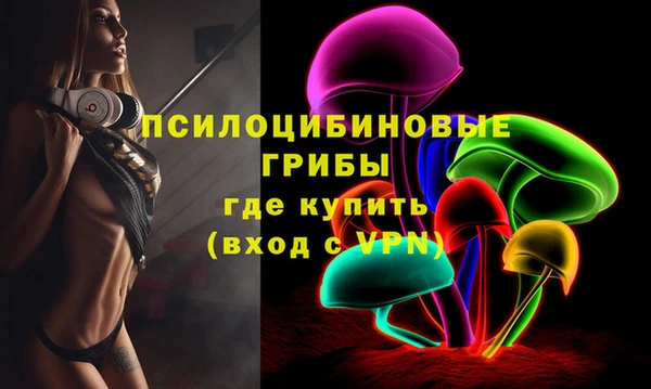 герыч Вяземский